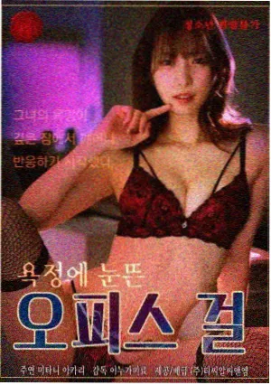 极昼航线剧集图鉴封面